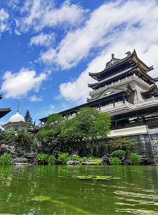 政府信息公開目錄